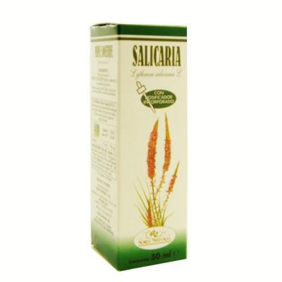 EXT. SALICARIA           SORIA (SORIA NATURAL)
