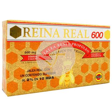 REINA REAL 600 VIALES