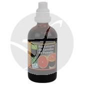 EXT. POMELO   50ML        100% NATURAL