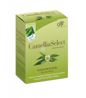 CAMELLIA SELECT EXT. TE VERDE (100 % NATURAL)