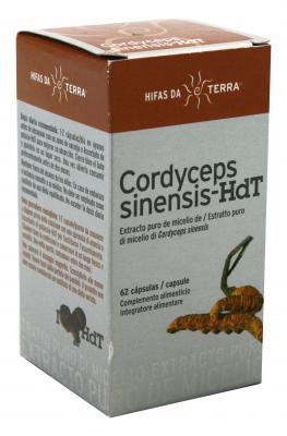 CORDYCEPS 62 CAP     HIFAS DA TERRA